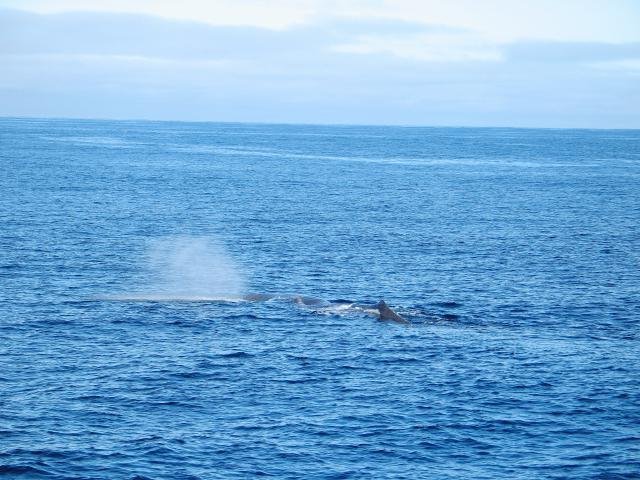 Urlaub in Norwegen 2006